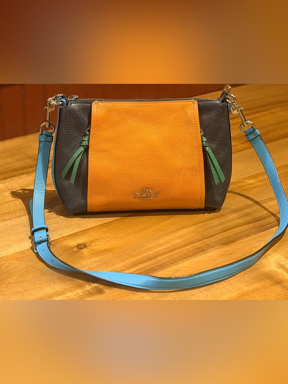 Coach Small Marlon Shoulder Bag in Colorblock Pebble Leather